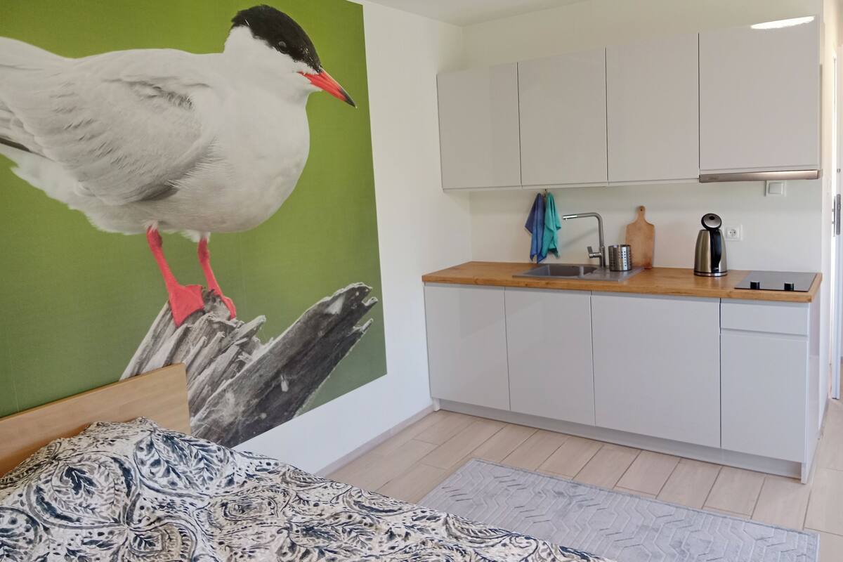 Comfort-studiosuite | Individuelt design, individuel indretning