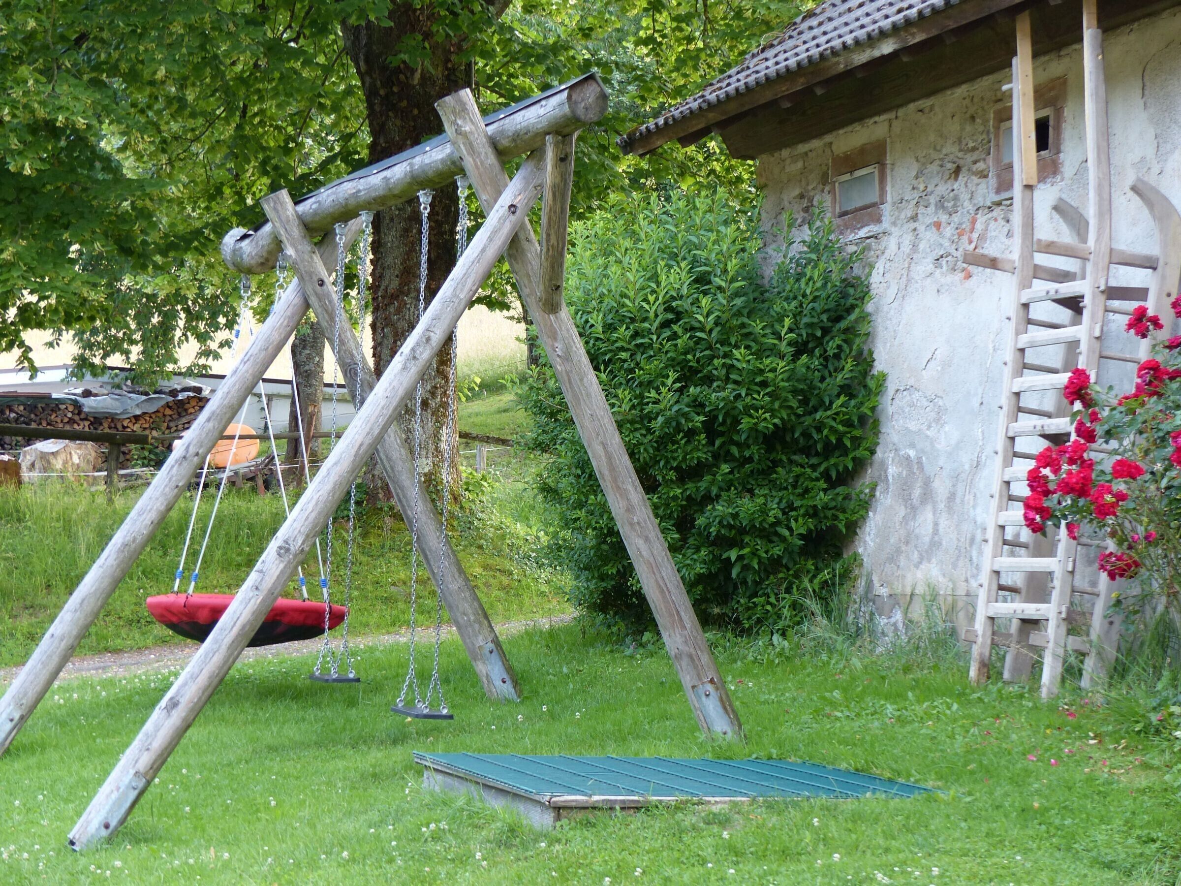 A rustic wooden swing set, a small shed, and a ladder leaning against the shed.