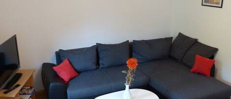 TV, table tennis, stereo