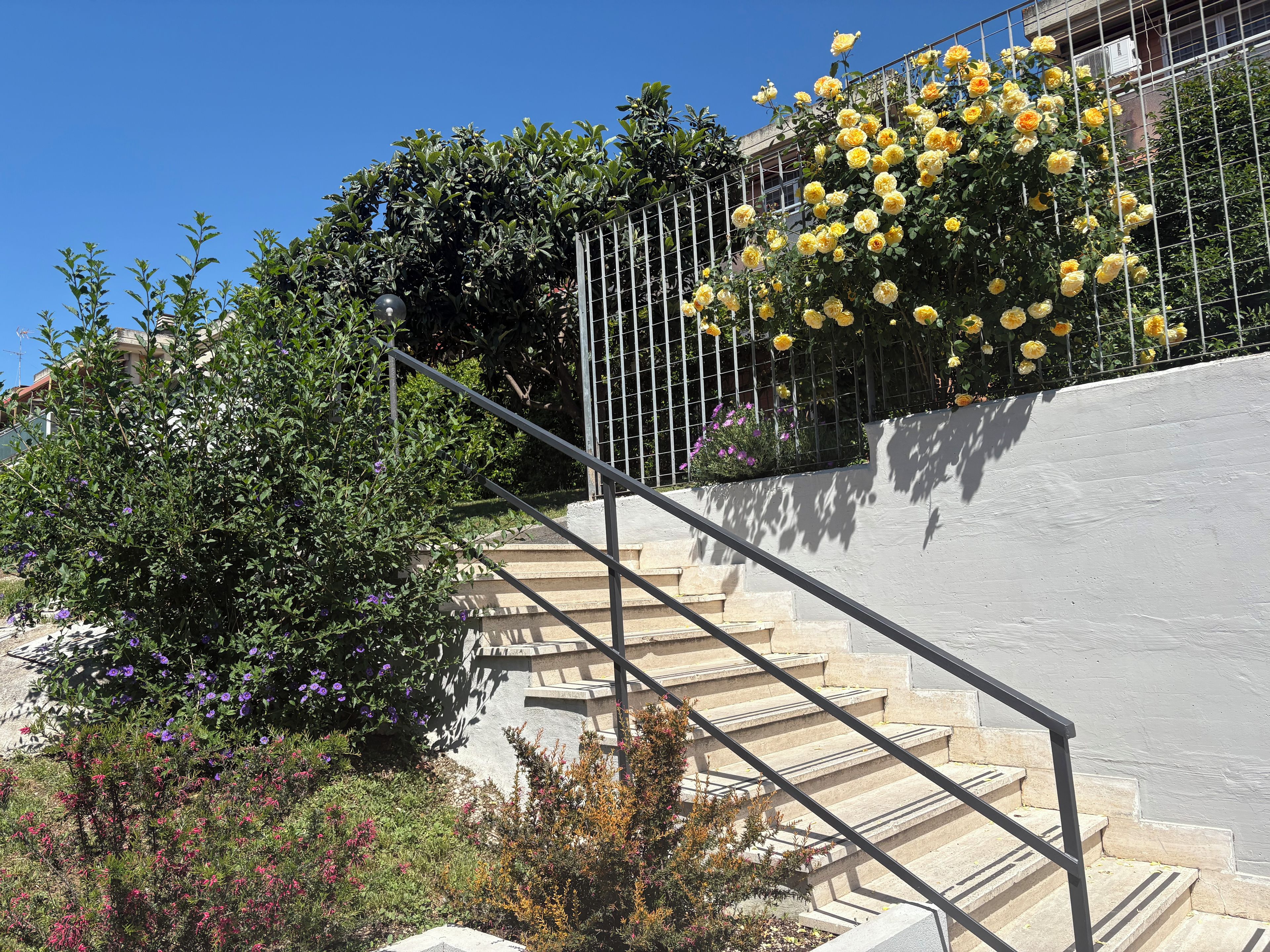 A staircase with metal railings leading to a building with yellow flowers.