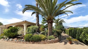 A garden with palm trees, a stone pathway, and a building with a tiled roof. - Sea and Canopy Rooms: Mountain View, Shared Terrace and Garden (SARROLA CARCOPINO)