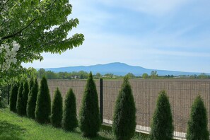 Property grounds - Apartment 'Green' with Private Terrace, Shared Garden and Wi-Fi (Bad Krozingen)