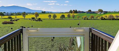 Terrain de lâhĂ©bergement