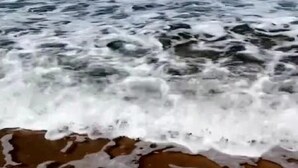 A beach with waves crashing onto the shore. - Prestigia Luxury apartment near the beach "Plage Des Nations" Sale/Rabat/Airport (Rabat-Salé-Kénitra)