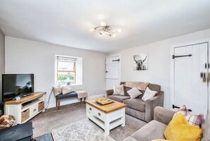 TV, fireplace, DVD player