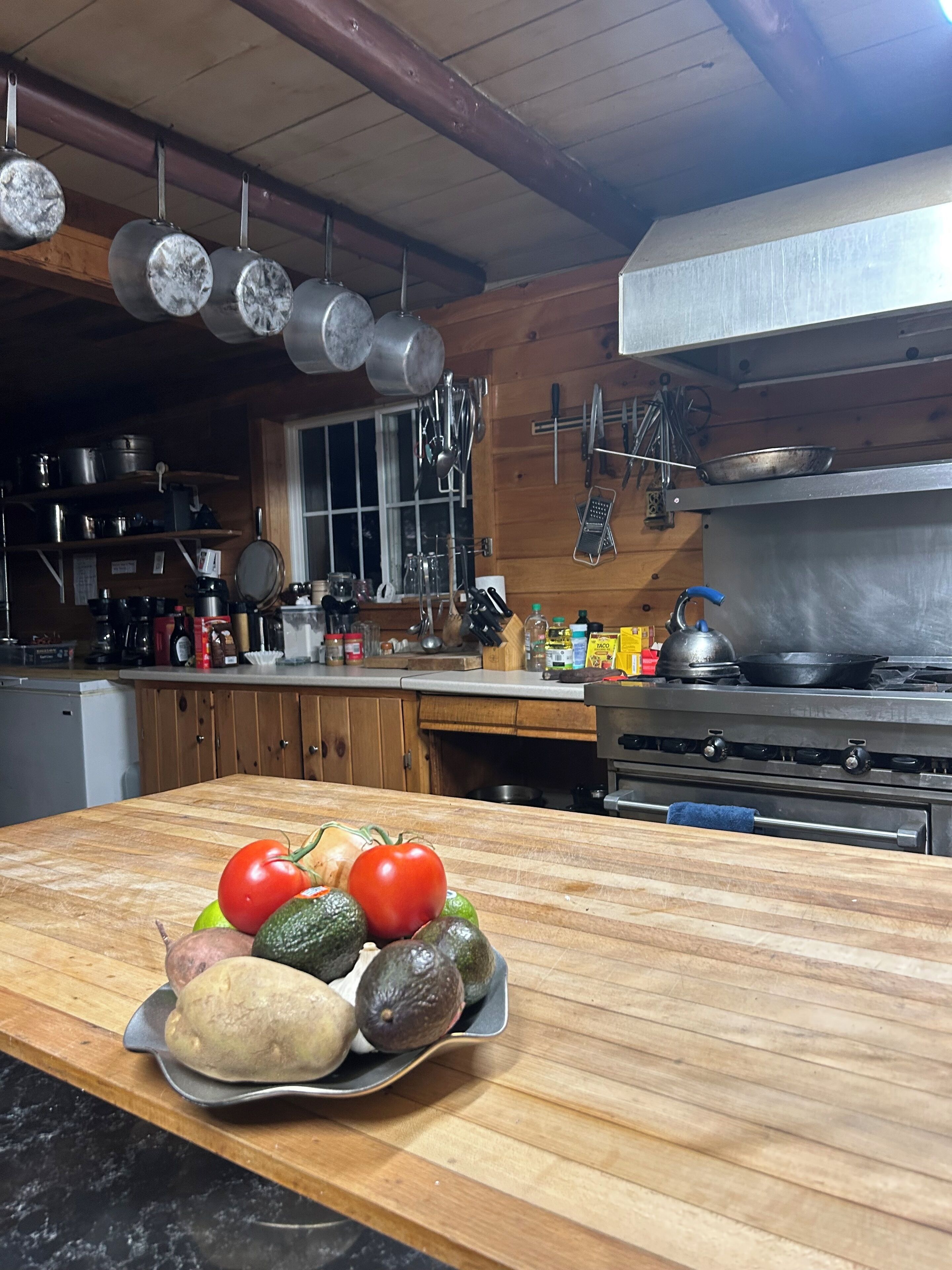 Fridge, oven, stovetop, cookware/dishes/utensils