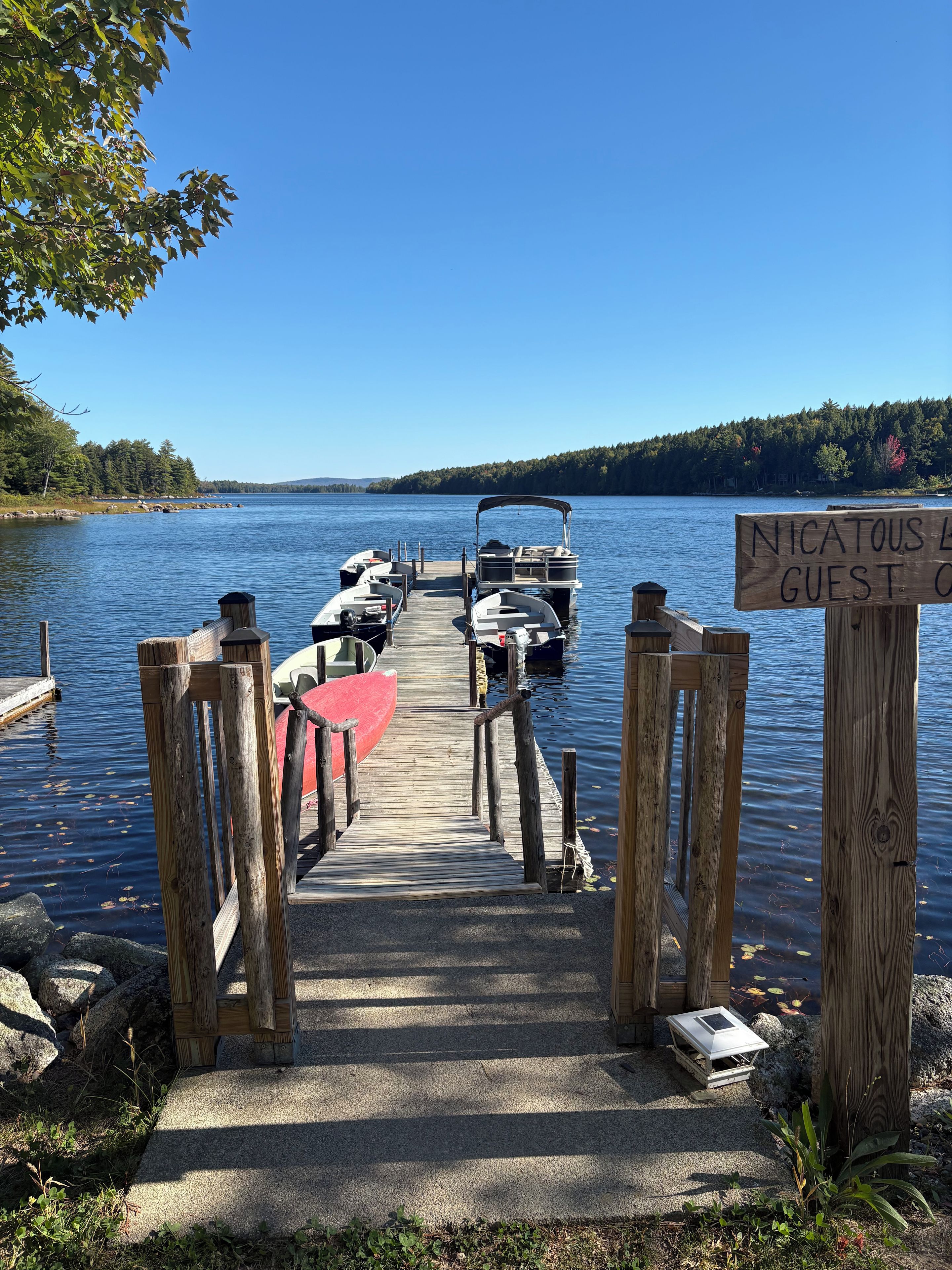 A wooden dock leading to a lake with boats moored at the end.