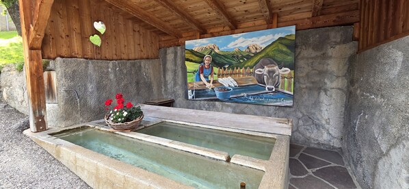 Property grounds - Tamion House (Vigo di Fassa)