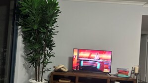 Un téléviseur posé sur un meuble en bois, avec une plante en pot à côté.