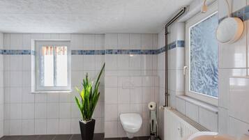 Dusche, kostenlose Toilettenartikel, Haartrockner