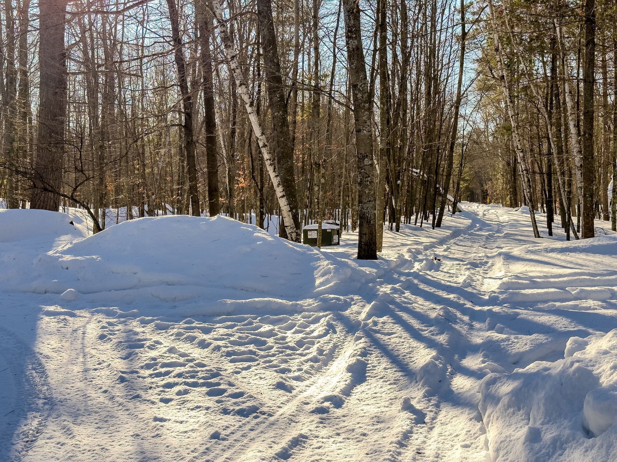 A snowy forest path with bare trees and a snow-covered ground.