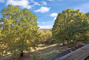 Àrea exterior de l'allotjament