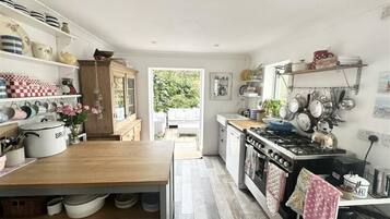 Oven, stovetop, dishwasher