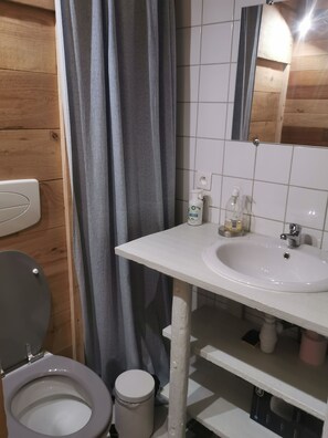 Dusche, Haartrockner, Toilettenpapier