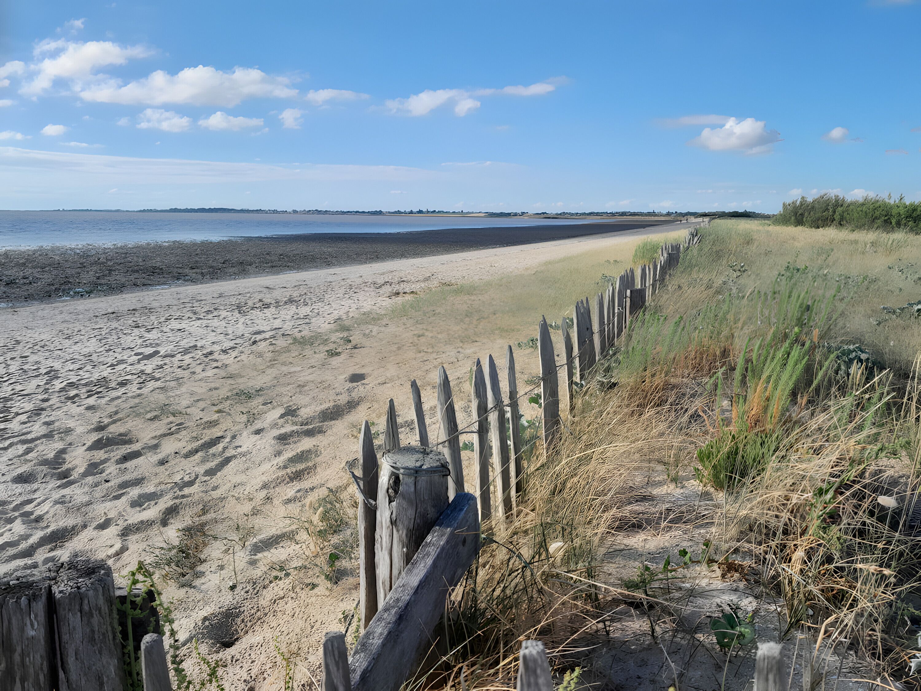 بالقرب من الشاطئ