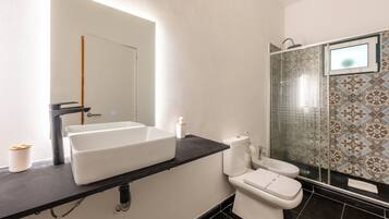 Regadera, secadora de cabello, toallas