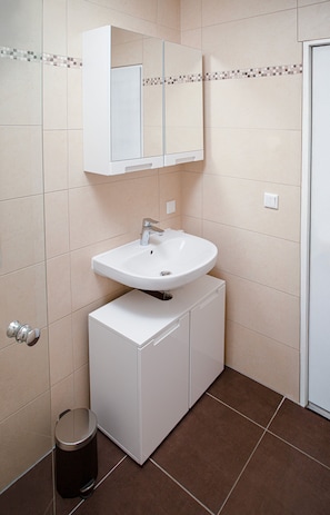 Dusche, Haartrockner, Handtücher, Seife