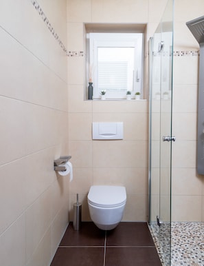 Douche, sèche-cheveux, serviettes fournies, savon