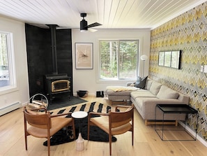 Smart TV, fireplace, books, stereo
