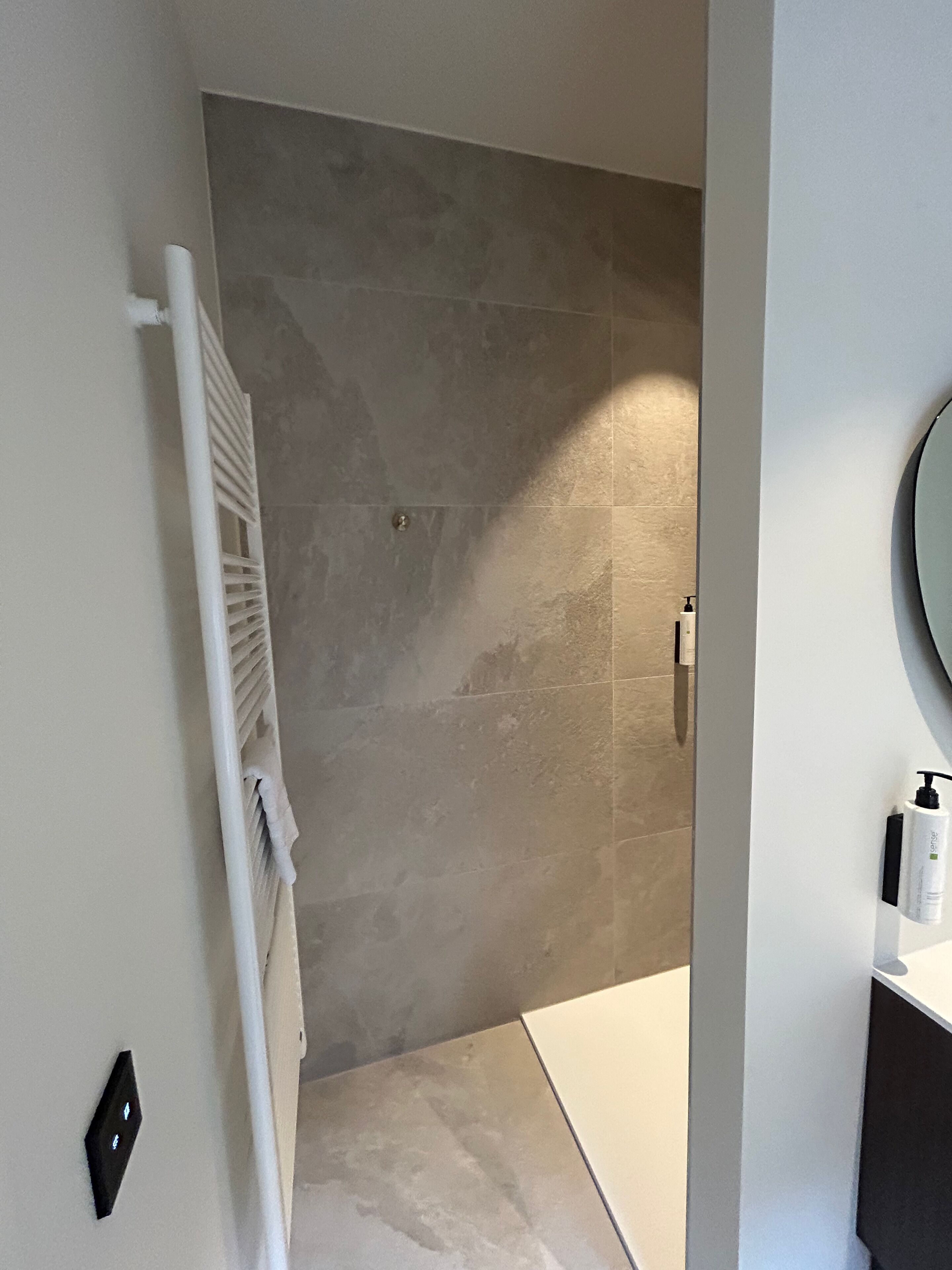 Une salle de bain équipée d’une douche, d’un porte-serviettes, d’un miroir et d’un distributeur de savon.
