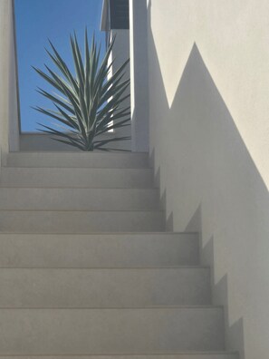Property grounds - Mallorca Oasis Villa (Rojales)