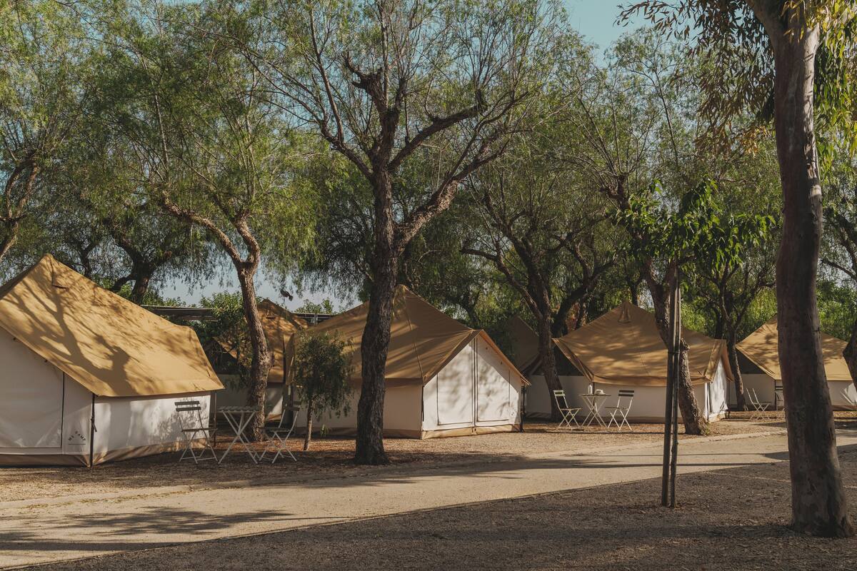 A row of tents with a dirt ground and trees in the background.