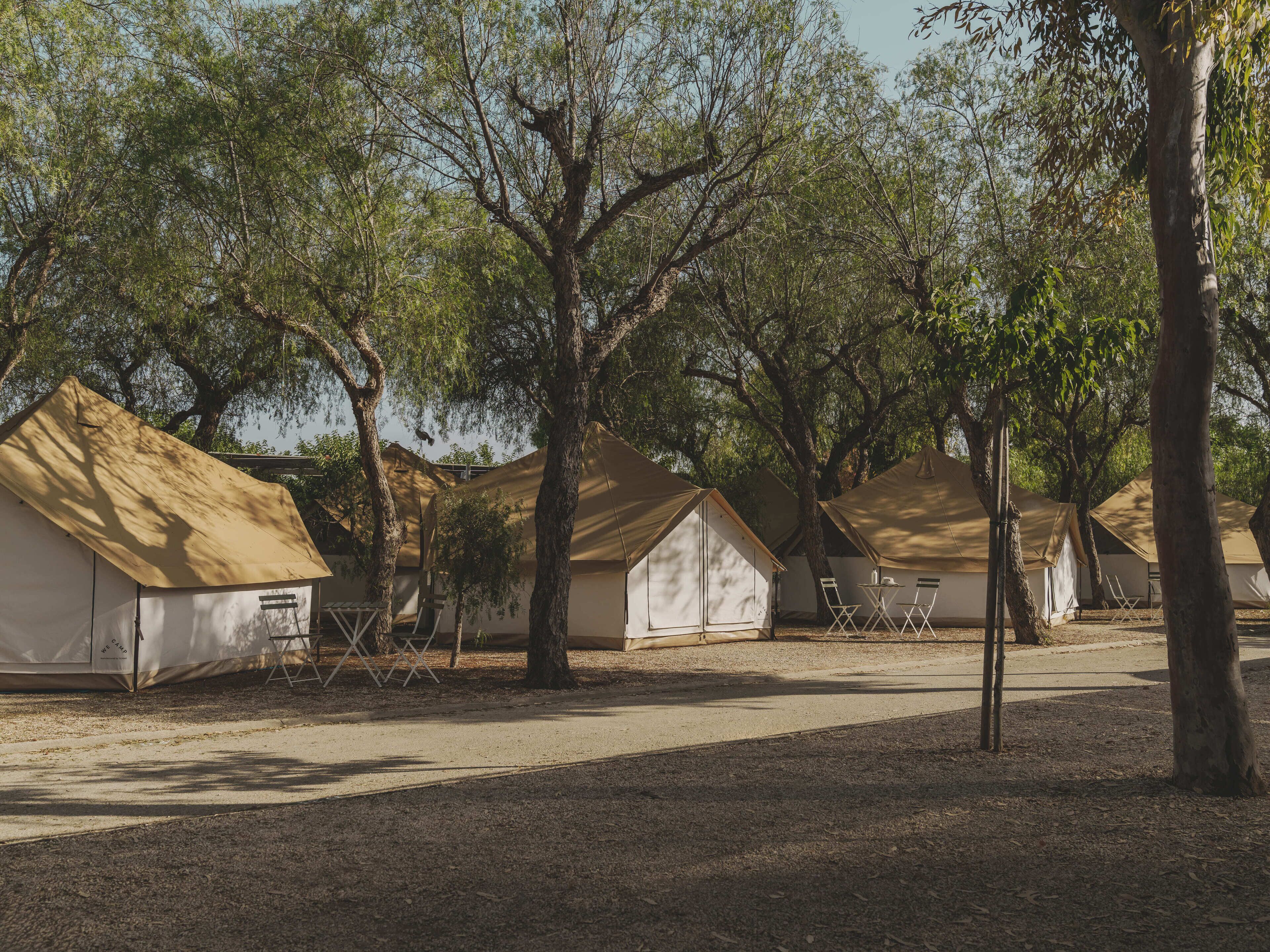 A row of tents with a dirt ground and trees in the background.