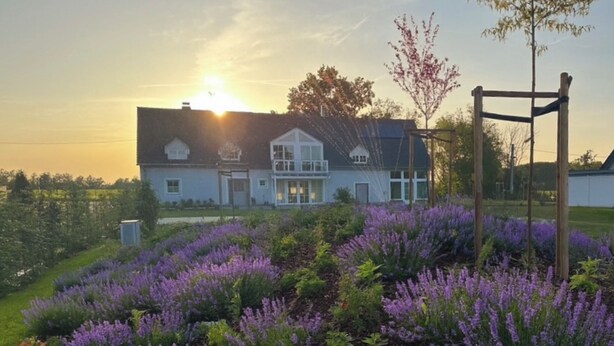 Et hus med en have fyldt med lavendel foran.