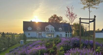 Large country house with pool, fireplace & garden - perfect for families & groups.