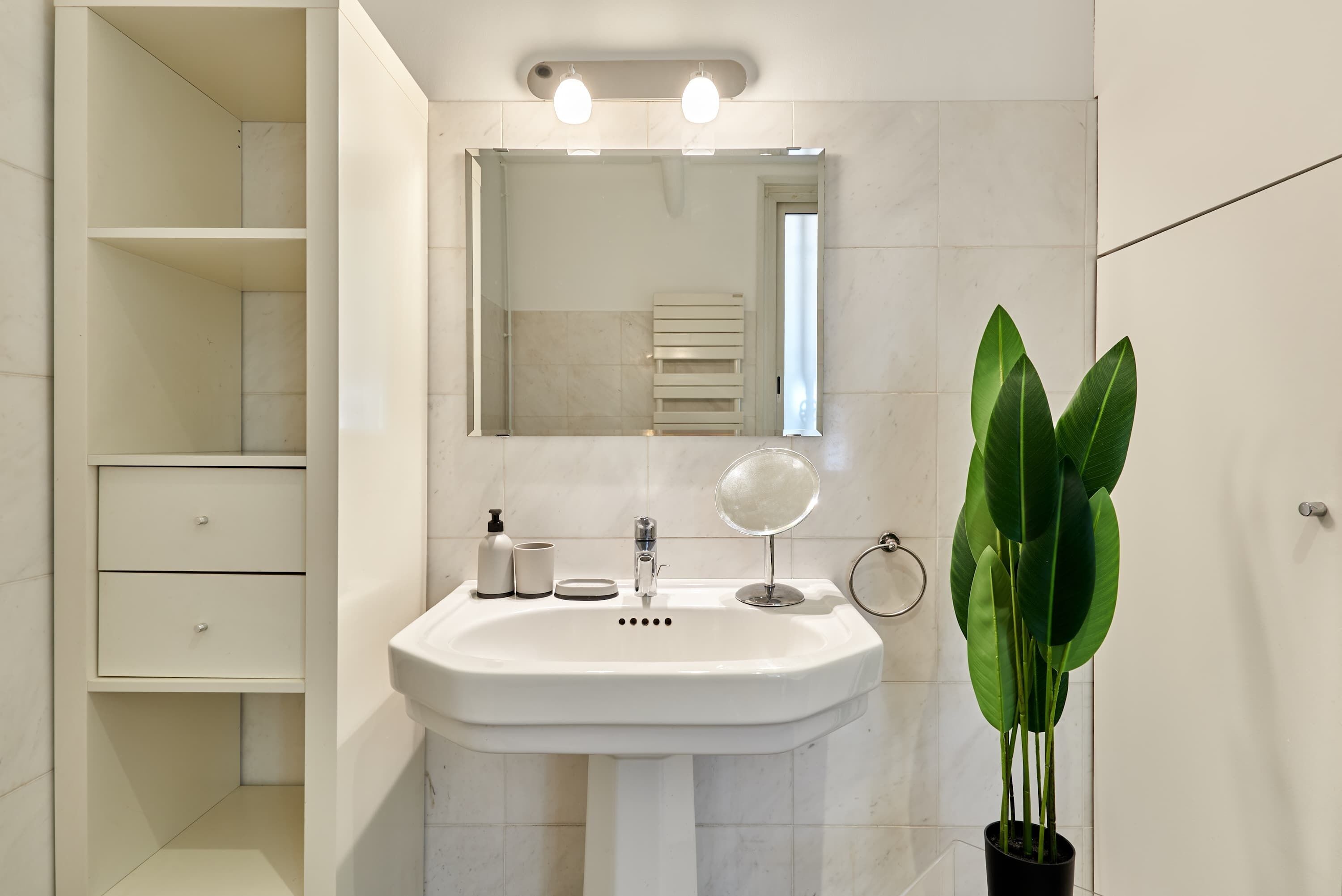 Un baño con un lavamanos blanco, un espejo y una planta en maceta.