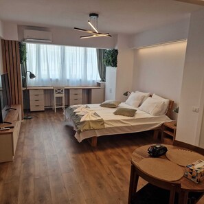 1 bedroom - Grand Studio - Cismigiu Park (Bucharest)
