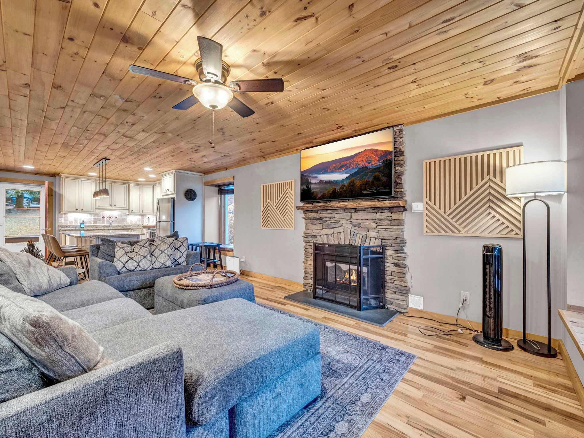 TV, fireplace