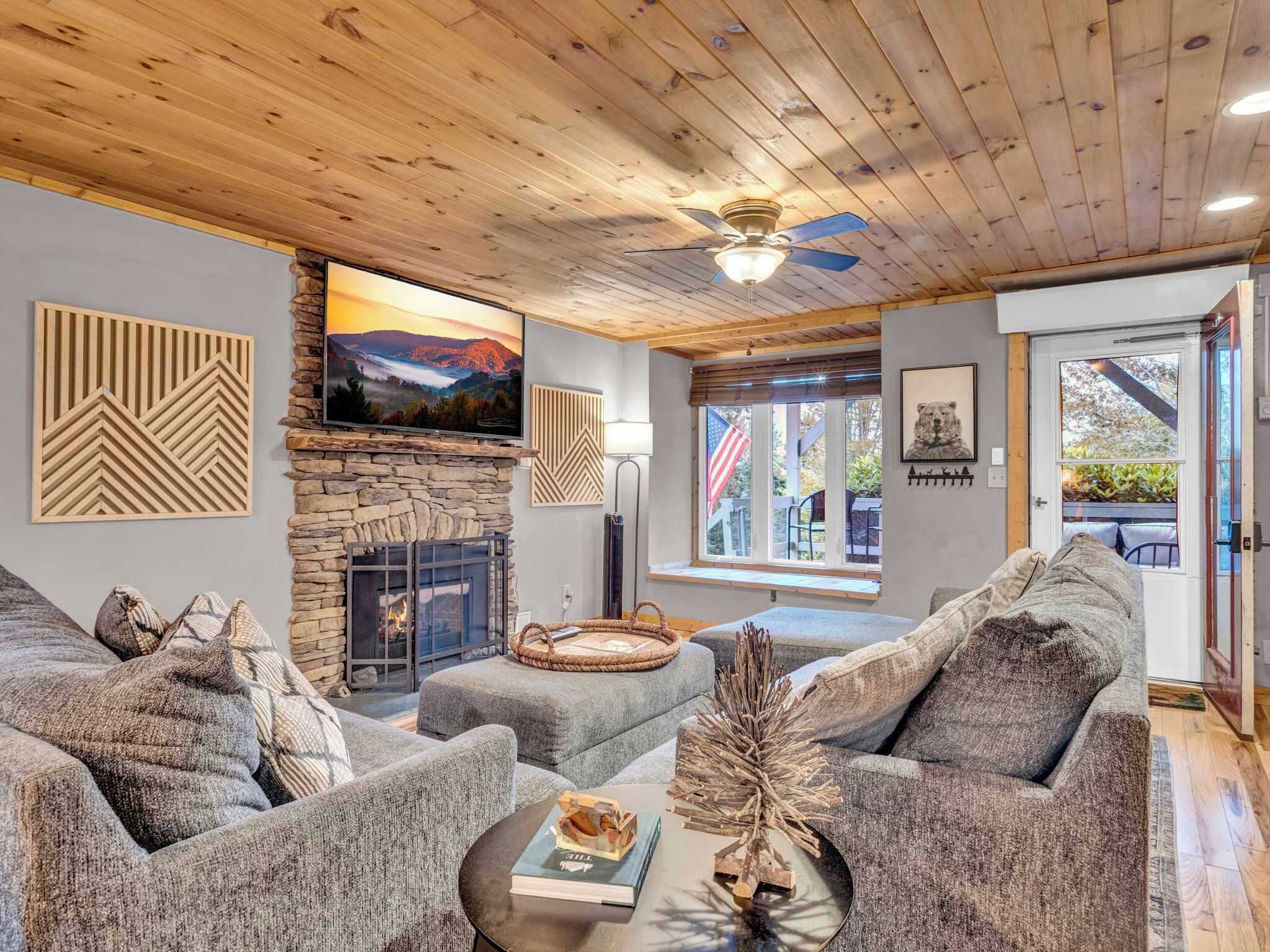TV, fireplace