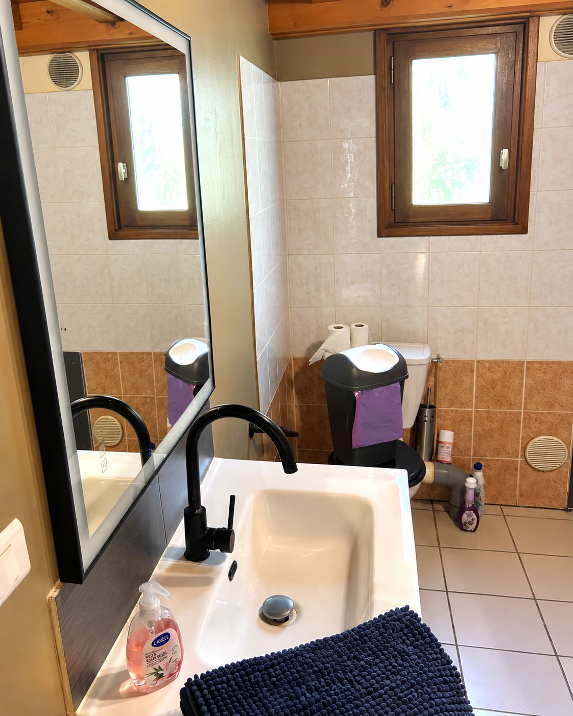 Un bagno con un lavandino bianco, uno specchio e un water.