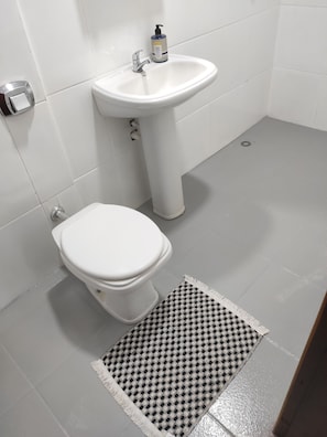 Shower, towels, soap, toilet paper