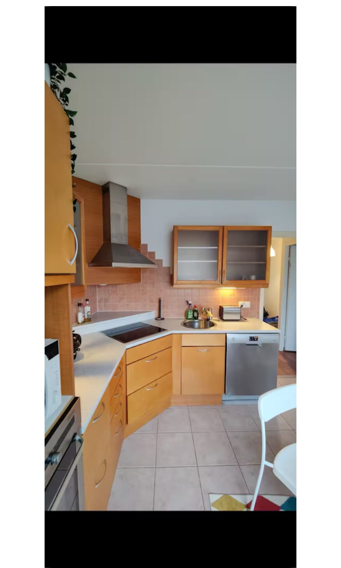 Fridge, oven, dishwasher, electric kettle