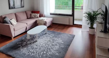 Spacious 3-room stay near Airport