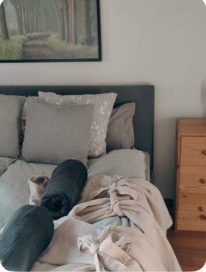 2 多间卧室、上网接入、床单