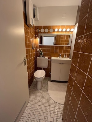 Dusche, Haartrockner, Handtücher, Toilettenpapier