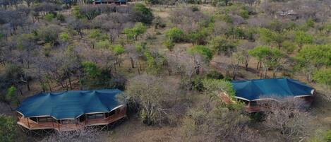 A large, open-air structure with a blue roof, surrounded by sparse vegetation and a few scattered trees.