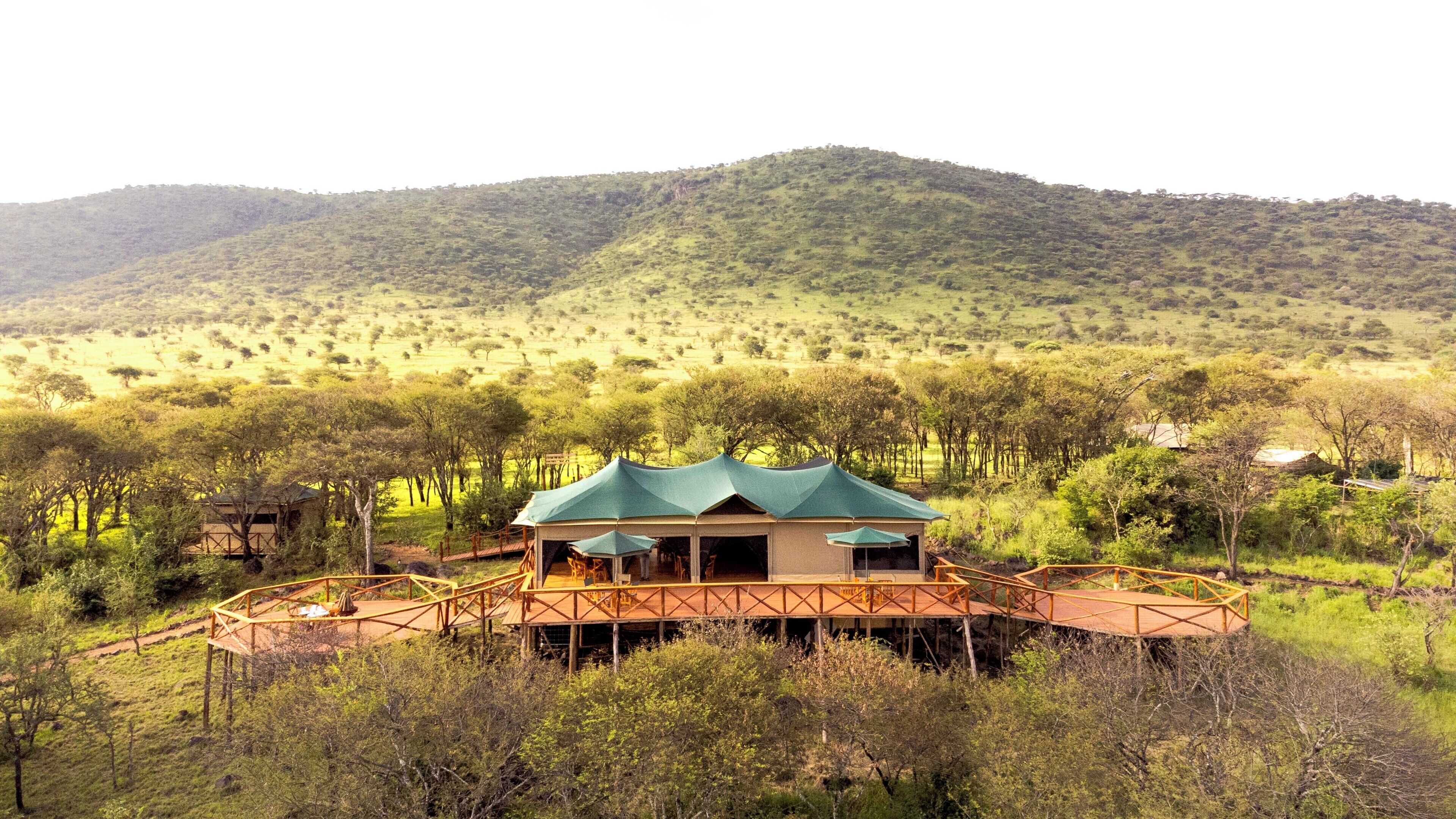 واجهة المنشأة