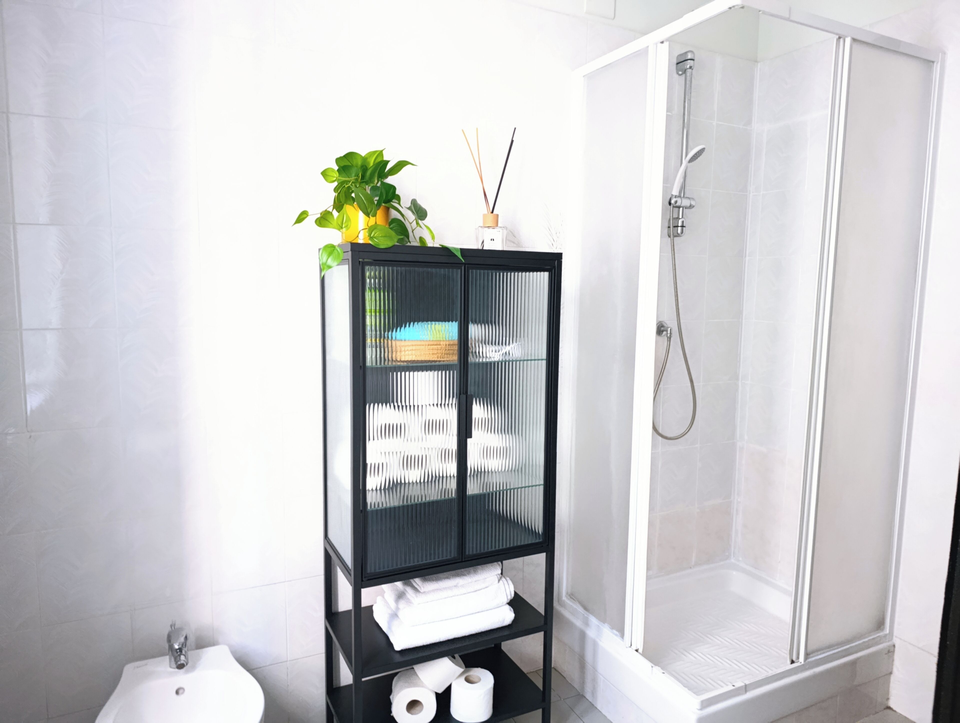 Dusche, Haartrockner, Bidet, Handtücher