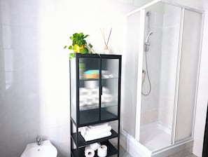 Shower, hair dryer, bidet, towels