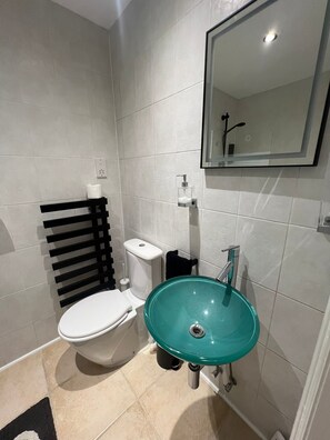 Hair dryer, towels, soap, toilet paper