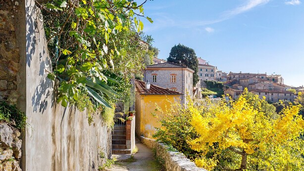 Un estrecho callejón con paredes de piedra, un edificio amarillo y un árbol con hojas amarillas.