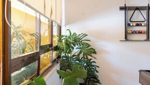 A room with a window, a plant, and a shelf with billiard balls. - Vive Oaxaca: Secure Parking and Space for Groups (Oaxaca de Juárez)