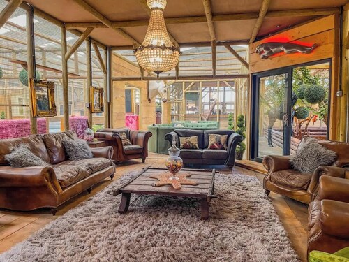 Puppy Lounge, Games Room, Arcades | Family Lodge