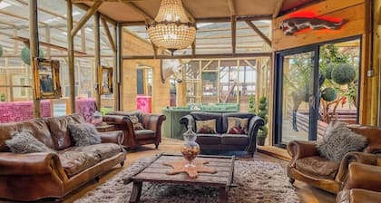 Puppy Lounge, Games Room, Arcades | Family Lodge