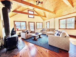 Televisión y chimenea