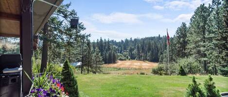 Àrea exterior de l'allotjament